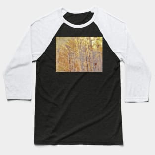 A Landscape Without Obviousness no. 2 Baseball T-Shirt